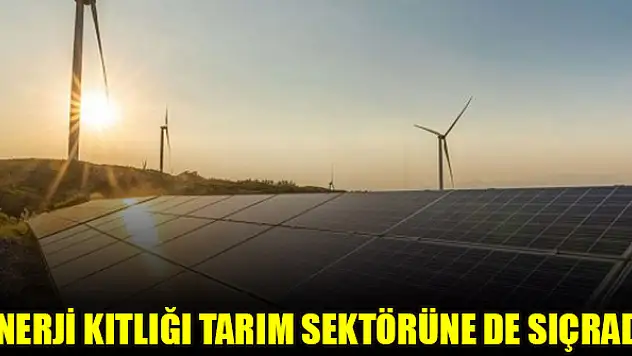 Enerji kıtlığı tarım sektörüne de sıçradı
