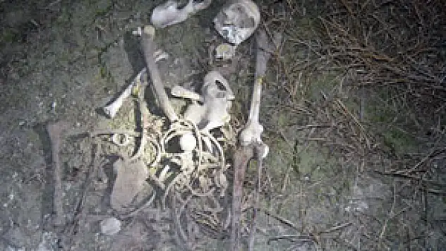 Gölde bulunan insan iskeletinin esrarı sürüyor