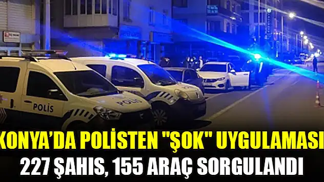 Polisten 'şok' uygulaması: 227 şahıs, 155 araç sorgulandı