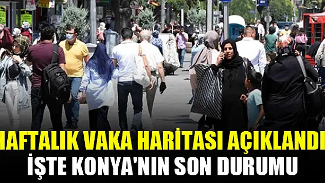 Haftalık vaka haritası açıklandı! İşte Konya'nın son durumu