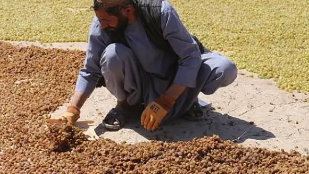 BM: Afganistan'da 14 milyon kişinin gıda güvenliği yok