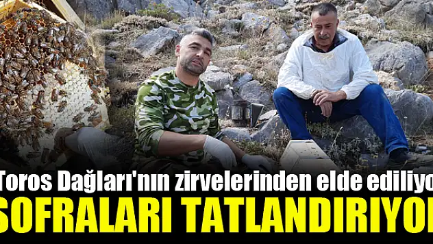 Toroslardan geliyor sofraları tatlandırıyor