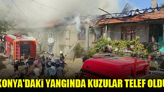 Konya'daki yangında kuzular telef oldu