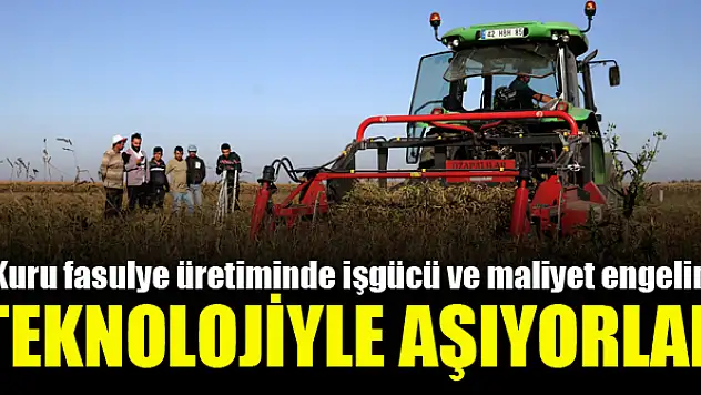 Konya'da kuru fasülye üretimi arttı