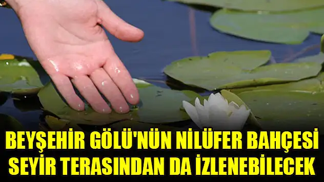 Beyşehir Gölü'nün nilüfer bahçesi seyir terasından da izlenebilecek