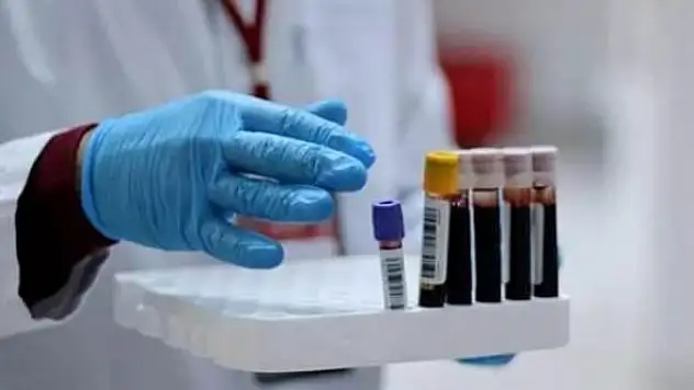 Dünyadaki 5 şirketten biri! Türkiye'de yatırım planlıyorlar