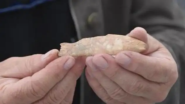 8 bin yıl öncesine ait 'balık' figürü bulundu