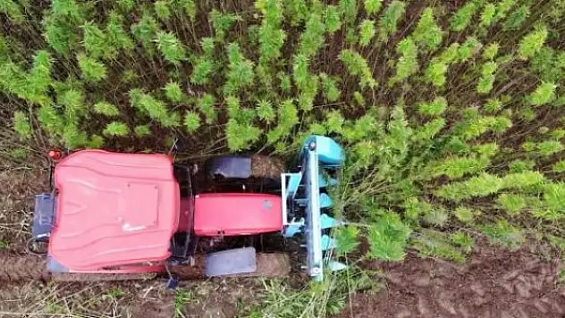 Türkiye'nin ilk tescilli kenevir tohumu 'Narlı' hasat edildi
