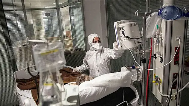 Koronavirüs vakasında son veriler belli oldu