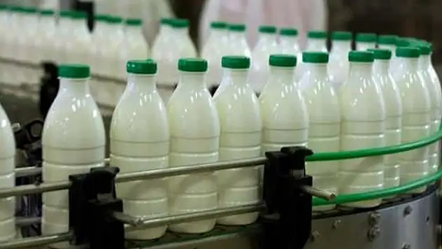 Süt üreticisine müjdeli haber! Fiyat arttı