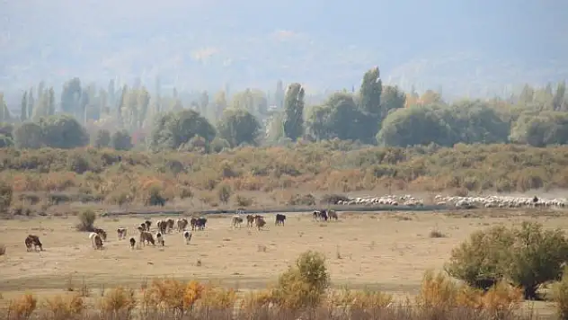 Tamamen kuruyan Akşehir Gölü'nün tabanında su bulundu