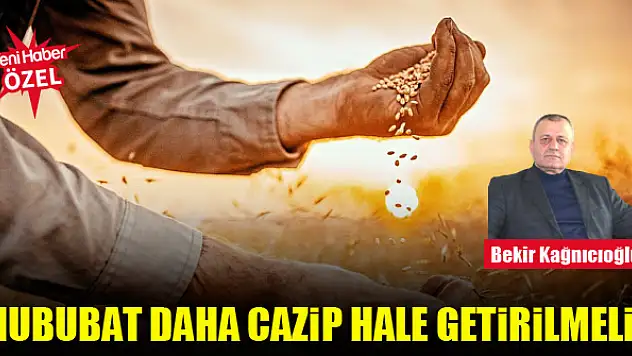 Hububat daha cazip hale getirilmeli!
