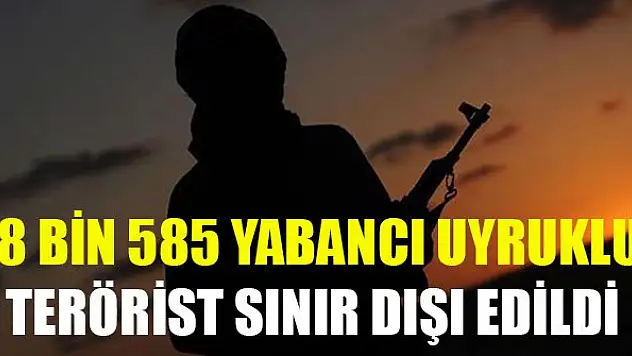 8 bin 585 yabancı uyruklu terörist sınır dışı edildi
