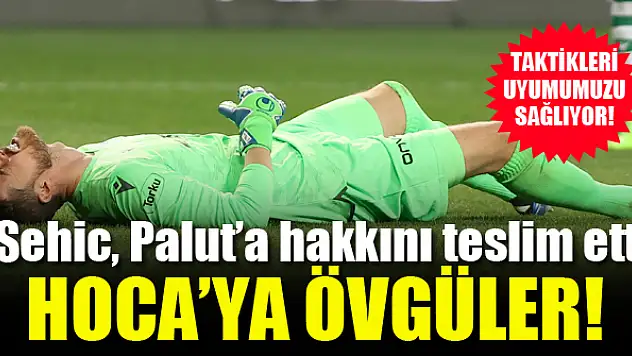 Sehic'ten İlhan Palut'a övgüler!