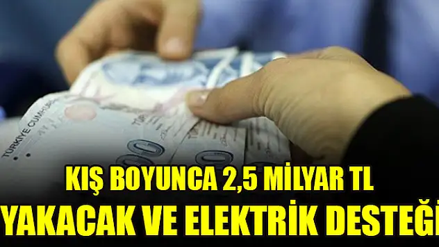 Kış boyunca 2,5 milyar TL yakacak ve elektrik desteği