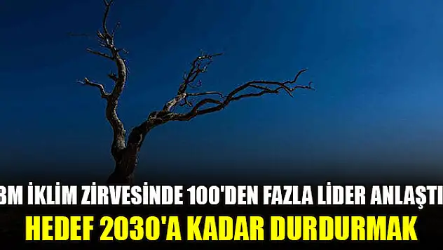 BM iklim zirvesinde 100'den fazla lider anlaştı: Hedef 2030'a kadar durdurmak