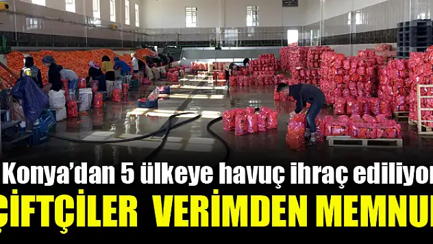 Çiftçiler havuç veriminden memnun
