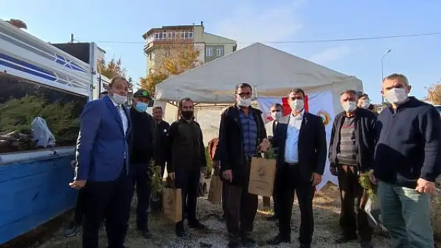 Cihanbeyli'de fidan dağıtımı yapıldı