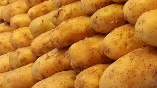 'Patates fiyatları düşüyor'
