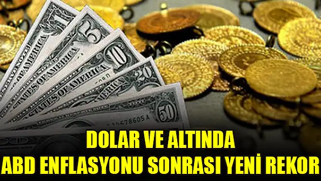 Dolar ve altında ABD enflasyonu sonrası yeni rekor