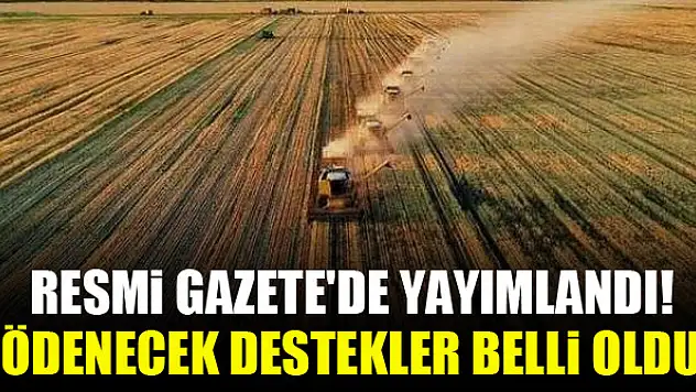 Resmi Gazete'de yayımlandı! Ödenecek destekler belli oldu