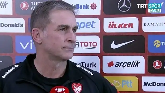 A Milli Takımı iki kişi yönetecek