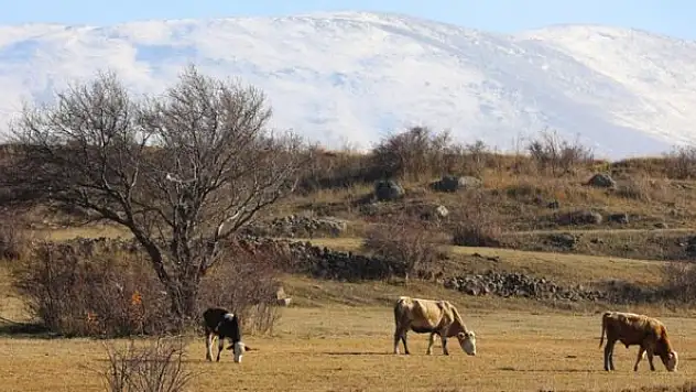 Aras Dağları'nda sonbahar ve kış bir arada yaşanıyor