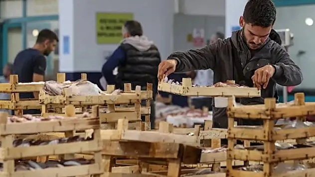 Samsun'da balık dükkanları kiraya verilecek