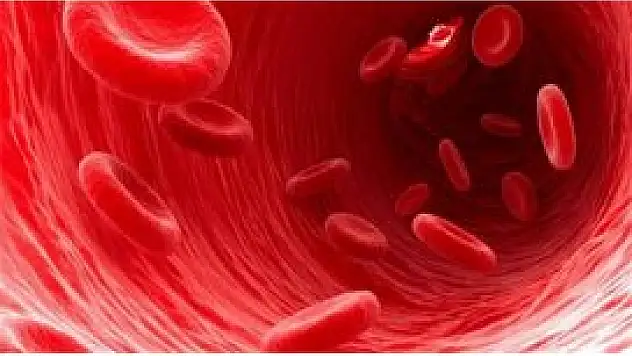 İnsanlar nefes almadan hayatta kalabilecek