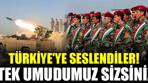 Türkiye'ye seslendiler! Tek umudumuz sizsiniz