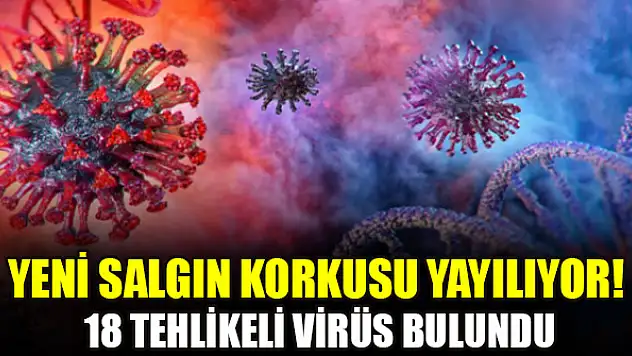 Yeni salgın korkusu yayılıyor! 18 tehlikeli virüs bulundu