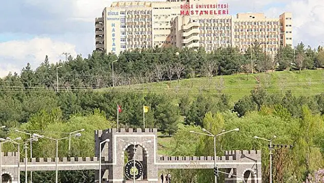 Dicle Üniversitesi öğretim üyesi alıyor