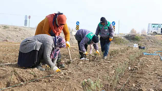 Beyşehir Belediyesi'nden kadın istihdamına destek