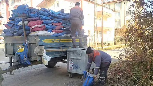 Beyşehir'de kül mesaisi
