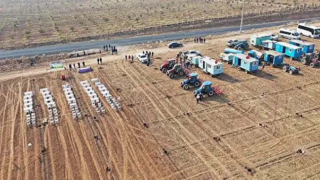 TİGEM'den kiralık tarlalar