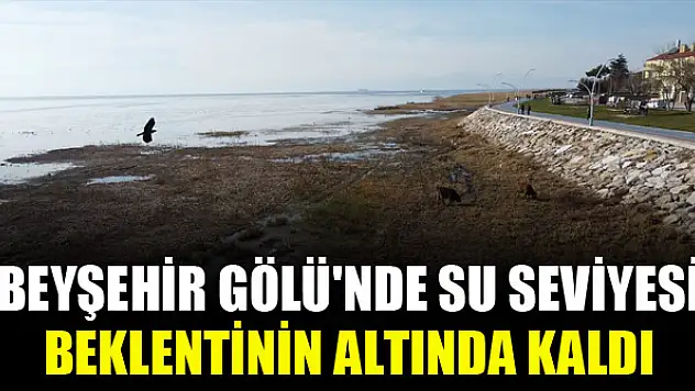 Beyşehir Gölü'nde su seviyesi beklentinin altında kaldı