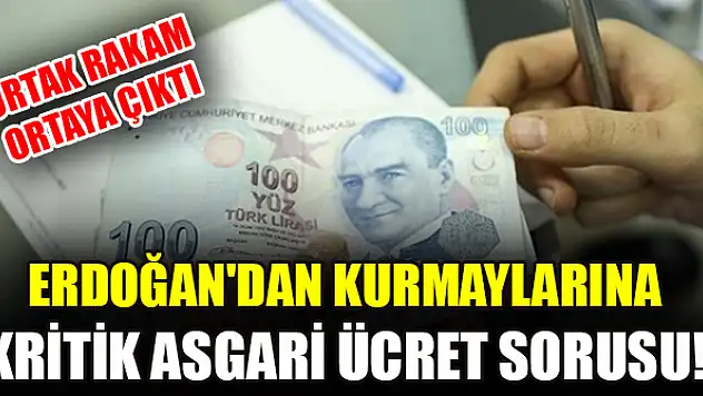 Erdoğan'dan kurmaylarına kritik asgari ücret sorusu! Ortak rakam ortaya çıktı