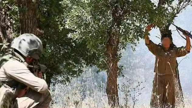 İkna edilen PKK'lılar örgütten kaçarak teslim oldu!