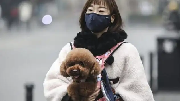 Koronavirüsü gösteren maske icat edildi!