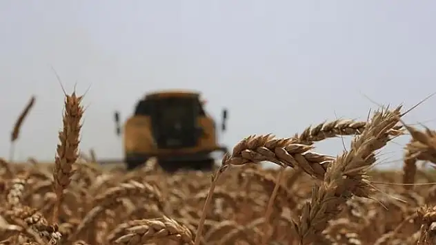 54 milyon 843 bin 181 liralık tarımsal destek ödemeleri bugün yapılacak