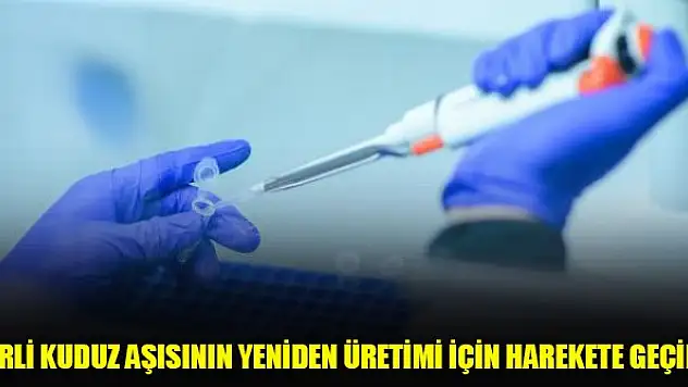 Yerli kuduz aşısının yeniden üretimi için harekete geçildi