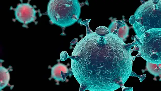 Omicron Türkiye'de de görüldü: Belirtileri neler?