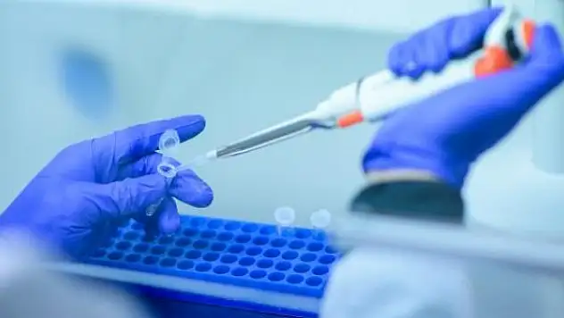 Yaşlanmaya neden olan 'zombi' hücrelerini öldüren aşı geliştirildi