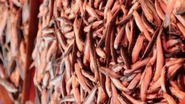 Mayıs ayında en çok balığın fiyatı arttı