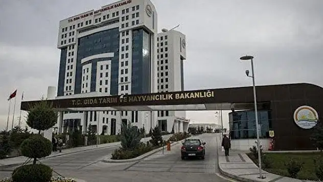 Tarım ve Orman Bakanlığı sözleşmeli bilişim personeli istihdam edecek