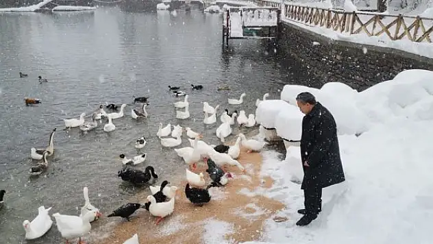 Seydişehir'de kuşlara ve sokak hayvanlarına yem bırakıldı