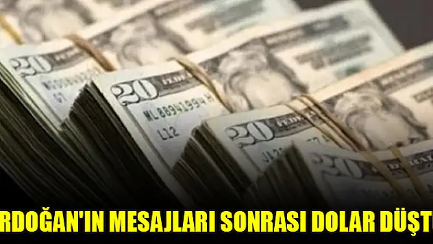 Döviz piyasalarında sert düşüş