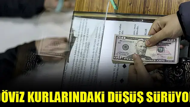 Döviz kurlarındaki düşüş sürüyor