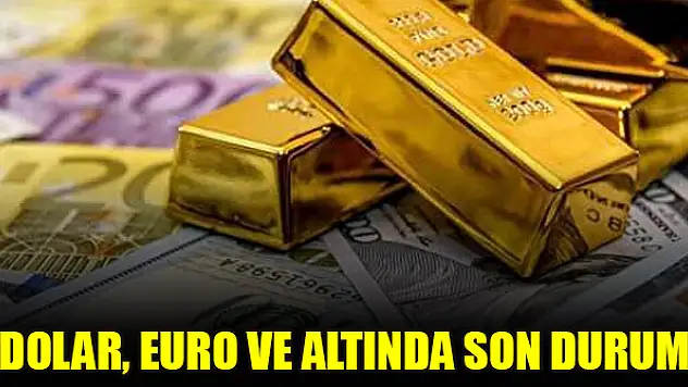 Dolar, Euro ve altında son durum!