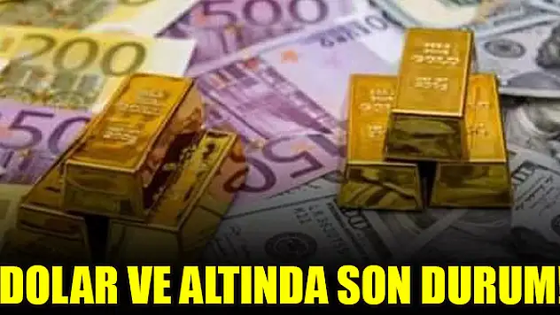 Dolar ve altında son durum!